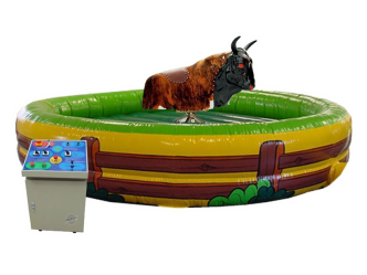 Bullriding inkl. Personal 6 Stunden