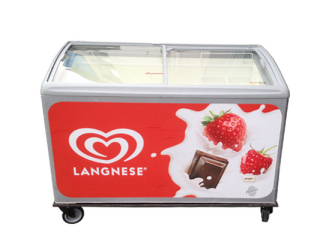 Langnese Eistruhe groß